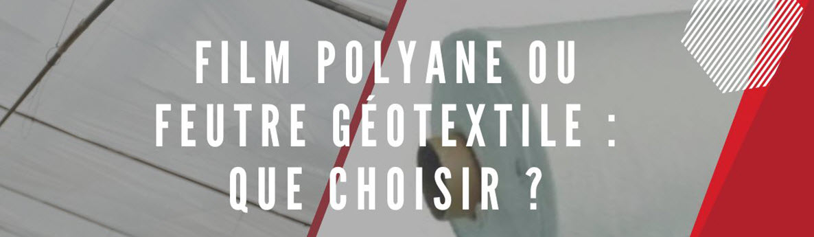 film polyane ou feutre geotextile