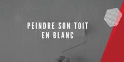 Peindre son toit en blanc contre la chaleur